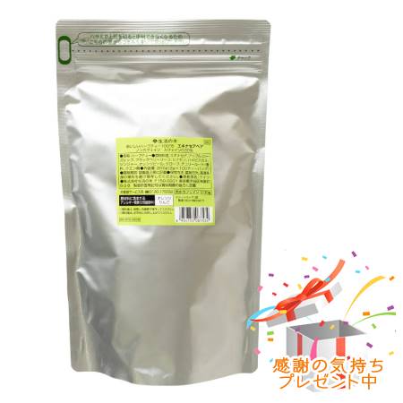 Tree of life 生活の木 おいしいハーブティー エキナセアベア 100ヶ入 プレゼント付