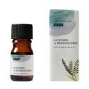 Tree of life 生活の木 WSブレンド精油 ラベンダー&フランキンセンス 5ml ※外箱折りたたんでご発送※