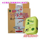 SENNENKYU せんねん灸 セネファの風 フルーティ お香 20香入 &点火器セット プレゼント付