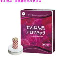 SENNENKYU せんねん灸 せんねん灸アロマきゅう 60点入
