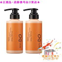 DEMI DO デミドゥ ヘアトリートメント タイプ エクストラ 300g 2個セット プレゼント付(4)