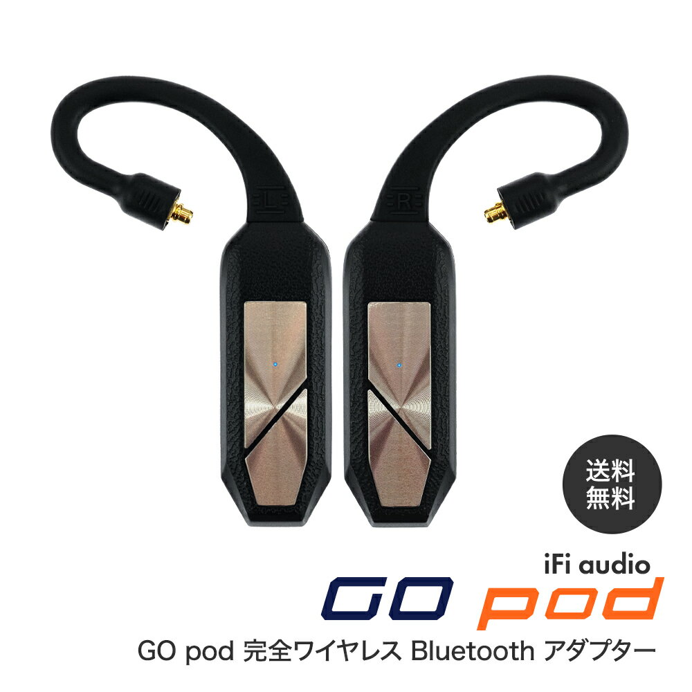 ڥݥ5ܡiFi audio GO pod 磻쥹 Bluetooth ץڹʡ