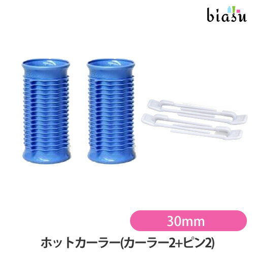 アイビル ホットカーラー 30mm(カーラー2+ピン2) アイビル AIVIL (国内正規品) アイビル ホットカーラー 30mm(カーラー2+ピン2) アイビル AIVIL (国内正規品)