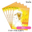 20日19時から5h限定P2倍+2品同時購入で50円OFFクーポン アスターナ あったますく 5枚入 (メール便L)(国内正規品)