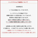 25日19時から5h限定P2倍 安心の国内正規品 シュウウエムラ ペタル55 ファンデーションブラシ (国内正規品) 3