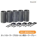9月は全品ポイント2倍 パナソニック (Panasonic) ホットカーラー プロカールン用カーラー 5本入 直径30mm グレー EH9034H-05(大大) (国内正規品)