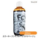 最大2000円OFFクーポン! フェムトクラスター fcカラーキープシャンプー プラチナベージュ 250mL (国内正規品)(4)