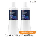 ウエラ ウエロキソン パーフェクト ＋プラス (2剤)6% 1000mL×2本セット (医薬部外品) (国内正規品)