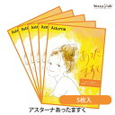 20日19時から5h限定ポイント2倍 アスターナ あったますく 5枚入 (メール便L)(国内正規品)