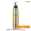 ソルティール ドライ フォーム 180g (国内正規品)