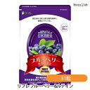 25日19時から5h限定P2倍 リフレ ブルーベリー&ルテイン 31粒 (機能性表示食品) (メール便M)(国内正規品)
