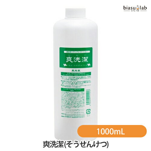 10日20時から4h限定P3倍+エントリーでP2倍 癒し職人シリーズ 爽洗潔 (そうせんけつ) 業務用 1000mL (マッサージローション ) (国内正規品)