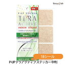 P-UP TERA ACTIVE eANeBu XebJ[ ~fBA (^Cv) 6V[g(18V[) ([L)(Ki)