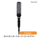 7/5 19時-24時全品2倍! 最大2000円OFFクーポン配布中! カメレオン ホットカーラーロールブラシ Sサイズ 25mm(国内正規品)