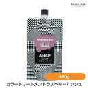 ANAP カラートリートメント ラズベリーアッシュ 400g (国内正規品)(4)
