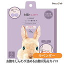 25日19時から5h限定P2倍 ほんやら堂 お腹をじんわり温める お腹に貼るカイロ ラベンダーの香り フェムケア 冷え対策(国内正規品)