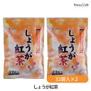 ゼンヤクノー しょうが紅茶 80g (2.5g×32袋)×2袋セット (メール便L)(国内正規品)