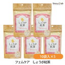 ゼンヤクノー しょうが紅茶 10g (1g×10袋入)×5袋セット フェムケアシリーズ (国内正規品)