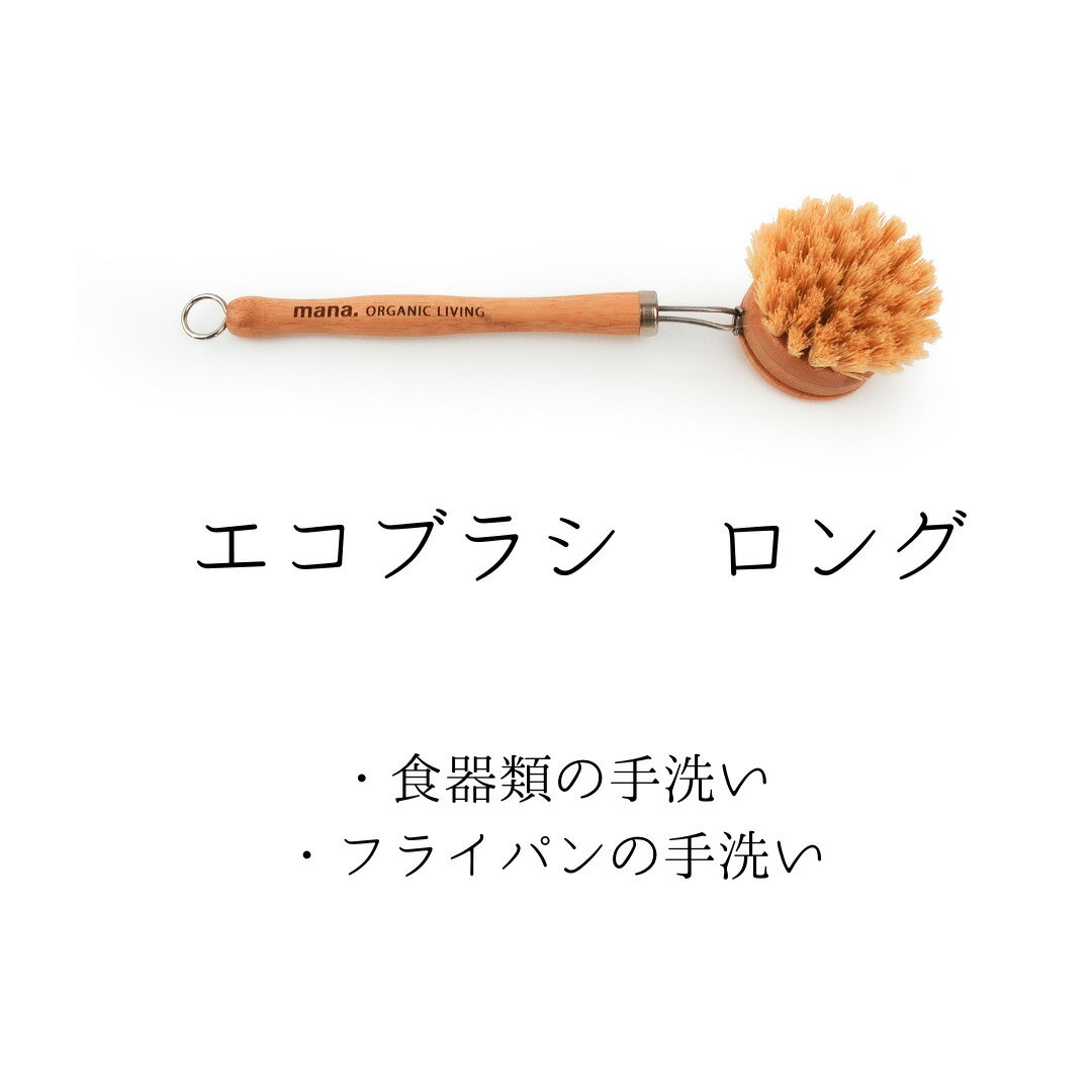 エコブラシロング 単品 食器洗いブ