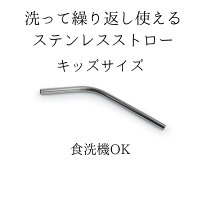 ステンレスストロー キッズ 2本セット 子供用 エコストロー ストロー 短め ステンレス製ストロー マイストロー 洗える 繰り返し 短い 食洗機 OK 繰り返し使える おしゃれ シルバー 噛んでもOK エコ サステナブル こども 子ども かわいい プレゼント ギフト 