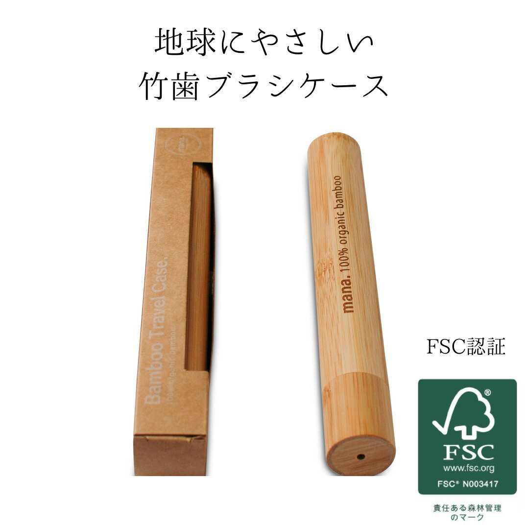 1000円ポッキリ 送料無料 竹歯ブラシ