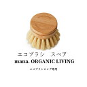 エコブラシ ロング スペアのみ 単品 柄付きブラシ 竹 食器洗い ナチュラル おしゃれ お掃除グッズ キッチン お掃除ブラシ かわいい 洗い物 自然素材 エコブ...