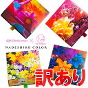 【訳あり】 数量限定 ナデシコカラー 1箱30枚入 【PWR:±0.00 ?-8.00】 送料無料 NADESHIKO COLOR ( カラコン ワンデー 度あり ナチュラル 14.0mm 度なし コスメコンタクト )