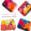 【訳あり】 数量限定 ナデシコカラー 1缶12枚入 【PWR:±0.00?-5.00】 送料無料 NADESHIKO COLOR ( カラコン ワンデー 度あり 12枚 14.0 度なし カラーコンタクト コンタクトレンズ ナチュラル 大人カラー お試し )