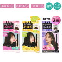 クイックリペアブラシ まとめ髪ポイントフィクサー PTヘアフィクサー PT43326 KT12476 PT81590 SHOBIDO 粧美堂 送料無料( アホ毛 マスカラ スティック アホ毛直し あほげ 長時間キープ まとめ髪 ヘアケア ヘアスタイリング 前髪キープ )