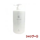 コタ アイケア シャンプー 5 （NEW）（ボトル/800ml） COTA COTAiCARE SHAMPOO