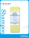 ルベル クールオレンジ ヘアソープ UC (リフィル/1600ml)【シャンプー】?スカルプ ケア?Lebel COOL ORANGE【サロン専売品】(税込)10800円以上 まとめ買い で 送料無料