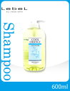 ルベル クールオレンジ ヘアソープ UC (600ml)【シャンプー】?スカルプ ケア?Lebel COOL ORANGE【サロン専売品】(税込)10800円以上 まとめ買い で 送料無料
