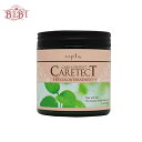 ナプラ ケアテクトHB カラートリートメント Vタイプ(250g)【トリートメント】napla CARETECT HB【サロン専売品】