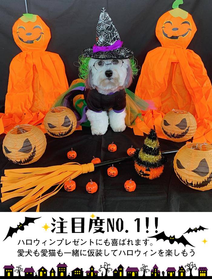 クモ帽子 ハロウィン変身　犬用 猫ちゃん 帽子 猫用 帽子 かつら帽子　クリスマス ペット用 帽子 コスプレ ペット用品 可愛い 散歩 おもしろ　面白い　写真記念 撮影 コスチューム コスプレ 簡単変装 犬猫用帽子 ハロウィン 仮装　コスプレ ハロウィン　衣装 仮装