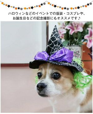 クモ帽子 ハロウィン変身 犬用 猫ちゃん 帽子 猫用 帽子 かつら帽子 クリスマス ペット用 帽子 コスプレ ペット用品 可愛い 散歩 おもしろ 面白い 写真記念 撮影 コスチューム コスプレ 簡単変装 犬猫用帽子 ハロウィン 仮装 コスプレ ハロウィン 衣装 仮装