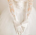 【ショート ミドルグローブ】ウェディンググローブ Wedding Gloves ウエディンググローブ ウェディング小物 ブライダル小物【gvs44yh】