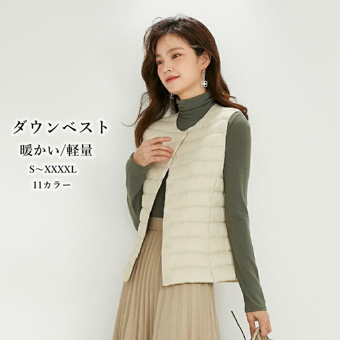 ̵ ʡ٥ ٥ ʥ٥ ǥ ݡ ȥɥ 쥸㡼 礭 2WAYΡ顼 ʡ Ķ ...