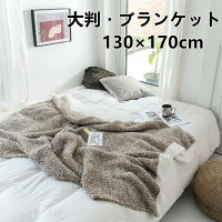 ブランケット おしゃれ マルチカバー 北欧 ソファー カバー ひざ掛け 大判 秋 冬 夏　布 ソファ ニット ベットカバー インテリア ベッド ソファーカバー あったかい かわいい オシャレ ソファカバー 膝掛け 出産祝い 厚手 ひざ掛け 毛布　母の日/父の日 ギフト