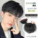 Type2.3即納可 前髪のみ ウイッグ メンズ 人毛100% 男性 かつら 自然 ナチュラル カツラ 前髪 黒髪 短髪 ビジネス用 医療用 ボリュームアップ クリップ式 人毛 フルウィッグ ショート 父の日 普段使い 軽量 通気性 装着簡単 ヘアスタイリング 簡単 フリーサイズ 元気