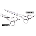 【送料無料】 EZY SCISSORS 美容師用はさみ カットはさみ EC625r 母の日 ギフトに プレゼントに
