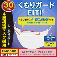 メガネが曇らない！くもりガードFIT! お徳用 レギュラーサイズ17.5*9.5cm スキマなしで徹底ガード メガネが曇らないマスク30枚＋繰り返し使えるノーズクッション10個付きセット×2箱