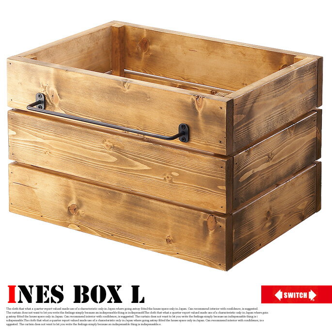 Ines box L（イネスボックスL）スイッチ(SWITCH)