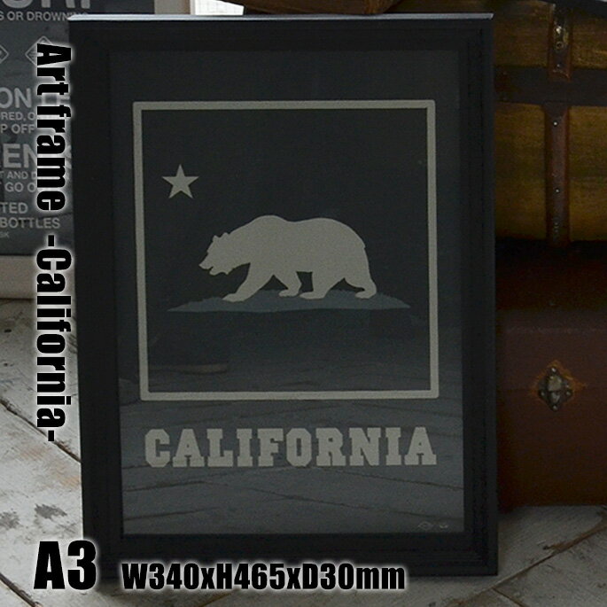 Art Frame California(アートフレーム カリフォルニア) A3 size 黒フレーム TR-4197(CA) ARTWORKSTUDIO(アートワークスタジオ) 送料無料