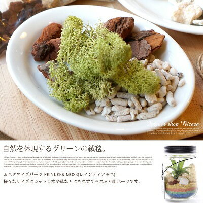 ���饤�ե�������˹�碌�ƥ������ޥ����Ǥ��륰�꡼��ǥ��ꥸ�ʥ�Υ����ȥԡ����������REINDEER MOSS(�쥤��ǥ����⥹)URBAN GREEN MAKERS(�����Х󥰥꡼��᡼������) ��4�����ס�SPRING-GREEN/NATURAL/MINT-GREEN/GREEN��