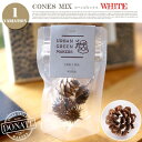 オリジナルテラリウムキット〜CONES MIX WHITE(コーンズミックス ホワイト)ugm1301 URBAN GREEN MAKERS(アーバングリーンメ...