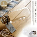 【短納期】オリジナルテラリウムキット〜BEAKER TERRARIUM TUBE(ビーカーテラリウム チューブ)ugm0406 URBAN GREEN MAKE...
