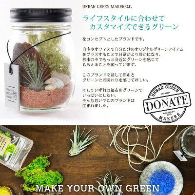 オリジナルテラリウムキット〜BULB TERRARIUM SQUIRREL(バルブテラリウム スクワール) ugm0407 URBAN GREEN MAKERS(アーバングリーンメーカーズ) 3