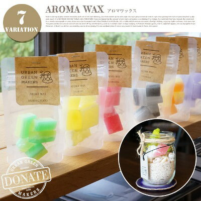 オリジナルテラリウムキット AROMA WAX(アロマワックス) ugm0371 URBAN GREEN MAKERS(アーバングリーンメーカーズ) 全7種類