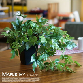 メイプルアイビー(MAPLE IVY) 光触媒 イミテーショングリーン