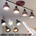 シーリングランプ アートワークスタジオ ハーモニーグランデリモートシーリングランプ(HARMONY GRANDE-remoto ceiling lamp) AW-0359 カラー(ブラウンブラック・ベージュホワイト・ブラック・ホワイト・ビンテージメタル) 送料無料 ARTWORKSTUDIO